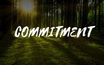 Success takes commitment